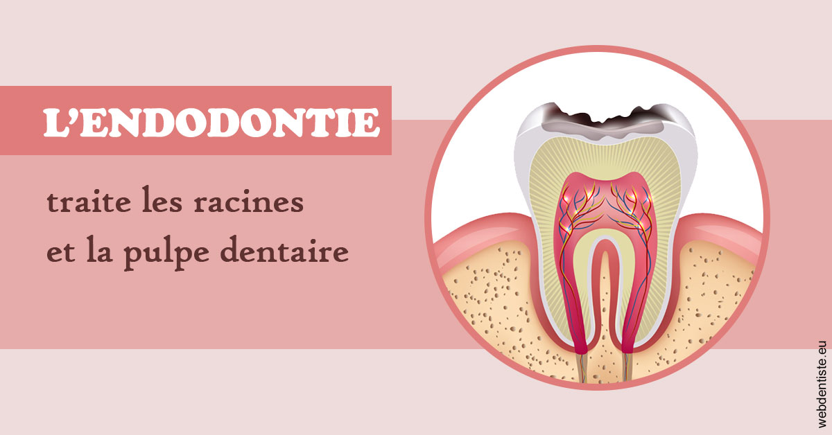 https://scp-aeberhardt-jahannot-pomel.chirurgiens-dentistes.fr/L'endodontie 2