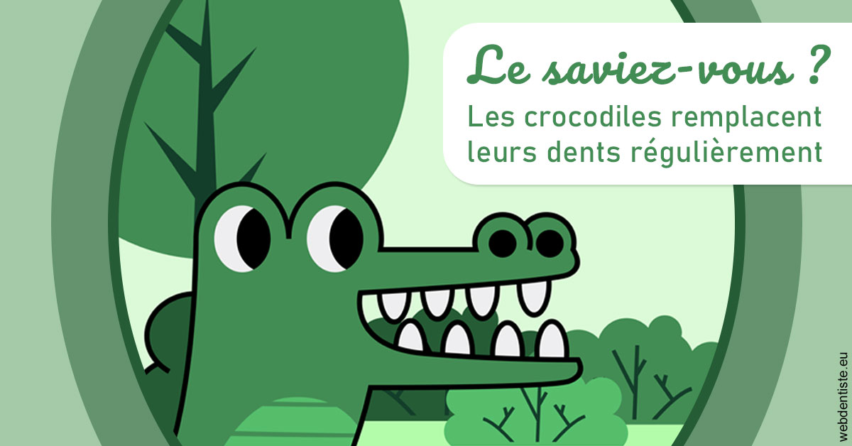 https://scp-aeberhardt-jahannot-pomel.chirurgiens-dentistes.fr/Crocodiles 2