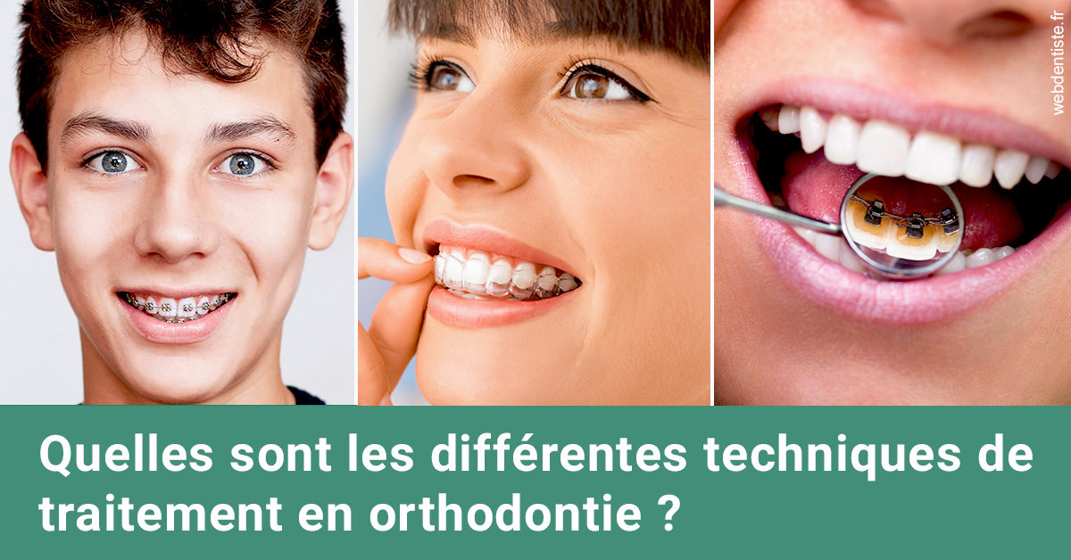 https://scp-aeberhardt-jahannot-pomel.chirurgiens-dentistes.fr/Les différentes techniques de traitement 2