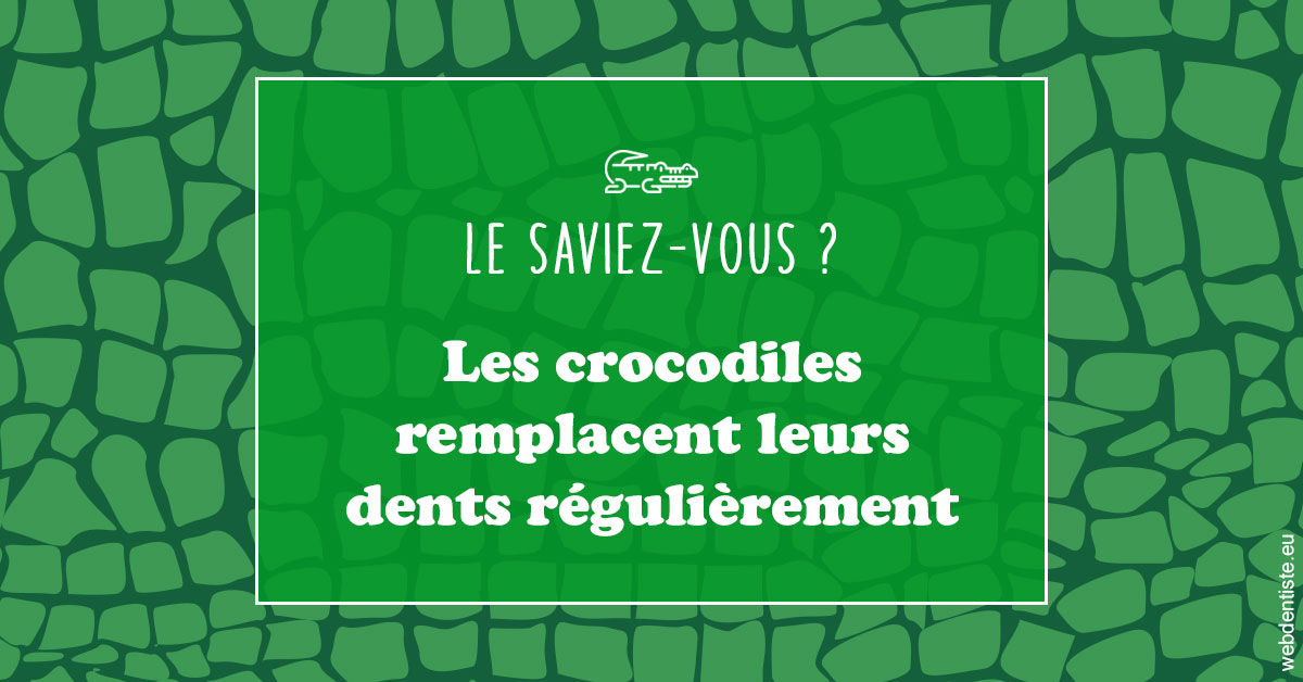 https://scp-aeberhardt-jahannot-pomel.chirurgiens-dentistes.fr/Crocodiles 1